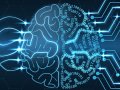 ? Neural Systems in AI: Understanding the Brain of Artificial Intelligence ?
