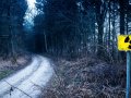 Developers Are the Main Danger to Software Development