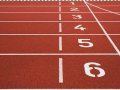 Benchmarking The Best: A Continuous Evaluation of Free Large Language Models