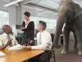 Becoming a software engineer with no CS degree: Let’s talk about the elephant in the room