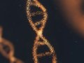 The Nexus of AI, Identity, and the Future of Work