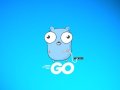 The Curious Case of Go’s Memory Model: Simple Language, Subtle Semantics