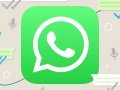 WhatsApp Username Feature is lit ?