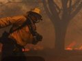 Los Angeles faced a series of devastating wildfires