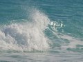 Why we need to increase ocean science data sharing
