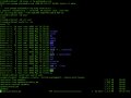 To the Newcomers in the IT Field: What is Linux?