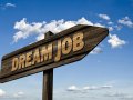“Unlocking Interview Opportunities: Mastering the Art of Attracting Employers”