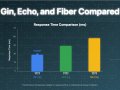 Gin, Echo, and Fiber Compared: Which One Should You Choose?