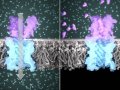 Top 5 best AI in biology stories of 2024 (plus a bonus from 2025!)