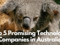 Top 5 Promising Technology Companies in Australia. Why Investors are Keeping a Close Eye on Aussie Tech Companies?