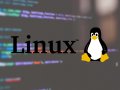 Linux: The Evolution of an Open-Source Revolution