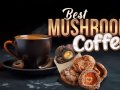 Best Mushroom Coffee Brand of 2024: Top 7 Brands Tried, Tested & Reviewed