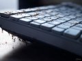 My Computer Became an Ant Colony — And I Had No Idea Until It Was Too Late