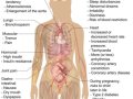Impact of Substance Abuse on the Body: Understanding the Harmful Effects
