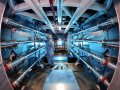 EXPLAINER: Why fusion could be a clean-energy breakthrough