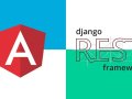 Building an Expense Tracker: A Comprehensive Guide to Learning Django REST Framework and Angular