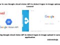 How to use Google cloud vision API to detect logos in image upload in Laravel