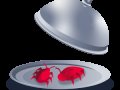 THM - Silver Platter