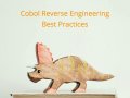 Cobol Reverse Engineering Best Practices