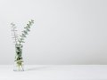 Reusable Configurations and Options Patterns in .NET Core