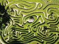 Navigating the Maze: Effective Prioritization in Product Management