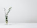 Master the Art of Code: 10 Tools You Can’t Afford to Ignore