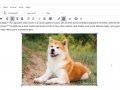 Uploading images inside Django article