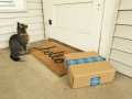 Subscriptions: Moving the cycle date
