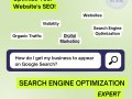 Boost Your Online Presence with Expert SEO Services! ?