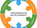 What are the Basic Levels of Perks and Organizational Growth ?