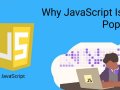 Why is JavaScript so popular?