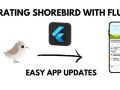 Flutter and Shorebird: Easy App Updates Without the Hassle.