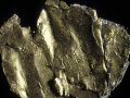 A Pacific Gold Rush