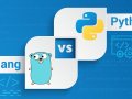 Golang vs Python: Which One is Better for Document Processing?