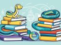 10 Exceptional Python Libraries to Elevate Your Coding Workflow