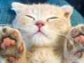 Coronavirus: 17 ways people are staying sane during lockdown