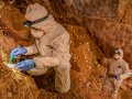 Were humans living in a Mexican cave during the last ice age?