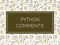 Writing Comments In Python Programming