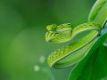 Template Strings in Python 3.14: An Unnecessary New Feature?