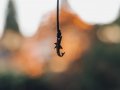 Build a React Hook for Fetching Data