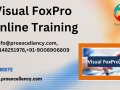 Visual FoxPro Online Training — Master Legacy Application Development