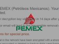 Hit by DoppelPaymer Ransomware