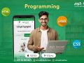 Secrets of Python Programming for Beginners: Practical Steps to Learn the Basics