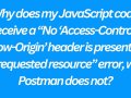 Why does my JavaScript code receive a “No ‘Access-Control-Allow-Origin’ header is present on the requested resource” error, while Postman does not?