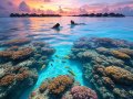 The Ultimate Vacation Guide: Why the Maldives Should Be Your Next Destination