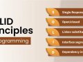 ? Mastering SOLID Principles: The Ultimate Guide with Examples & Pro Tips! ?