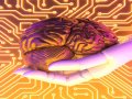 Gemini 2.0: Ushering in the Agentic Era of AI