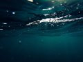 Efficient JSON Data Handling: Dynamic Parsing Tips in Golang