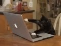 Beyond vibe coding