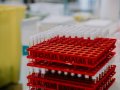 Mastering Oncology Clinical Trials: A Comprehensive Guide for Statistical Programmers